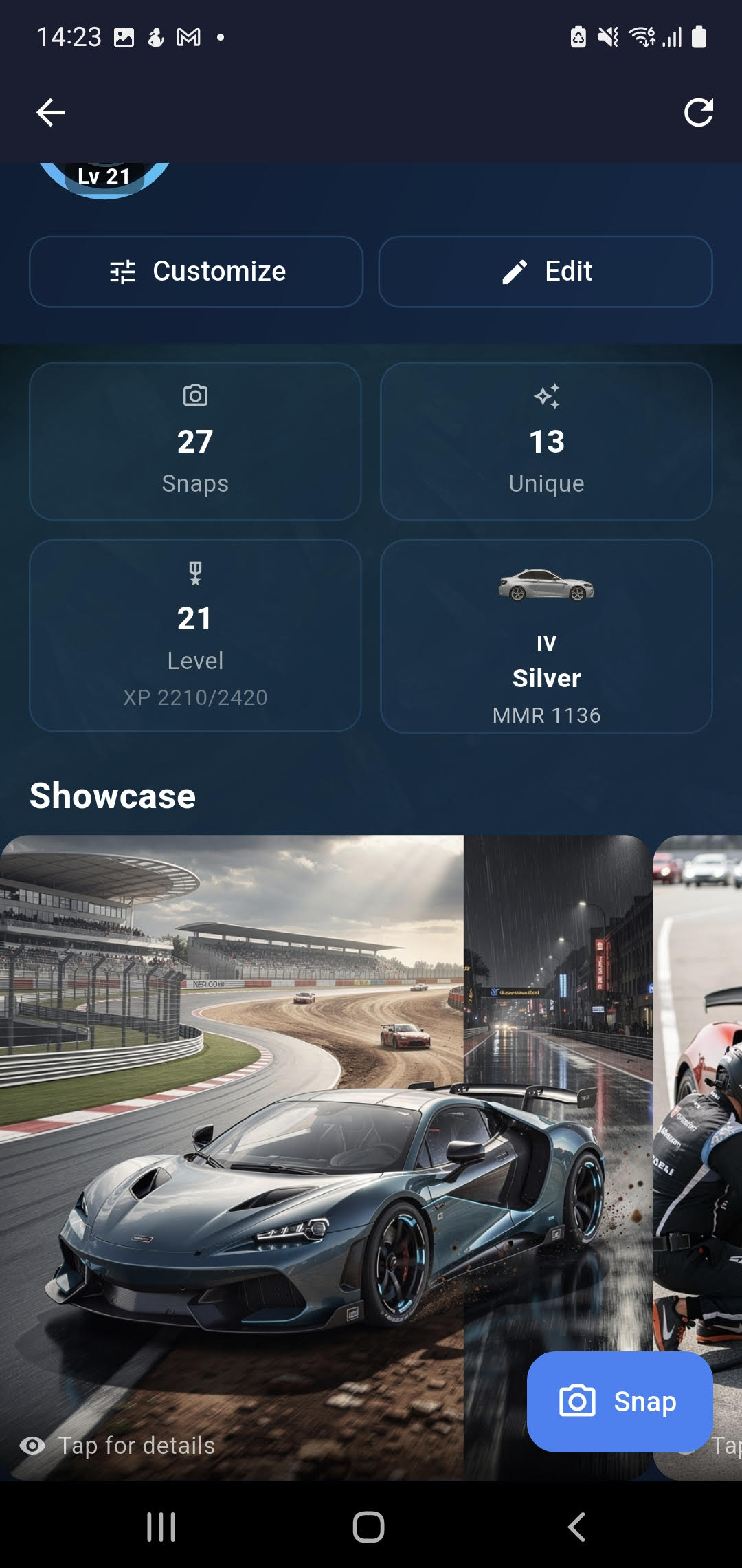 Player profile showcase